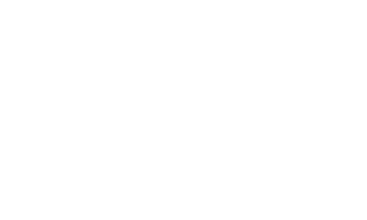LovelySkin logo
